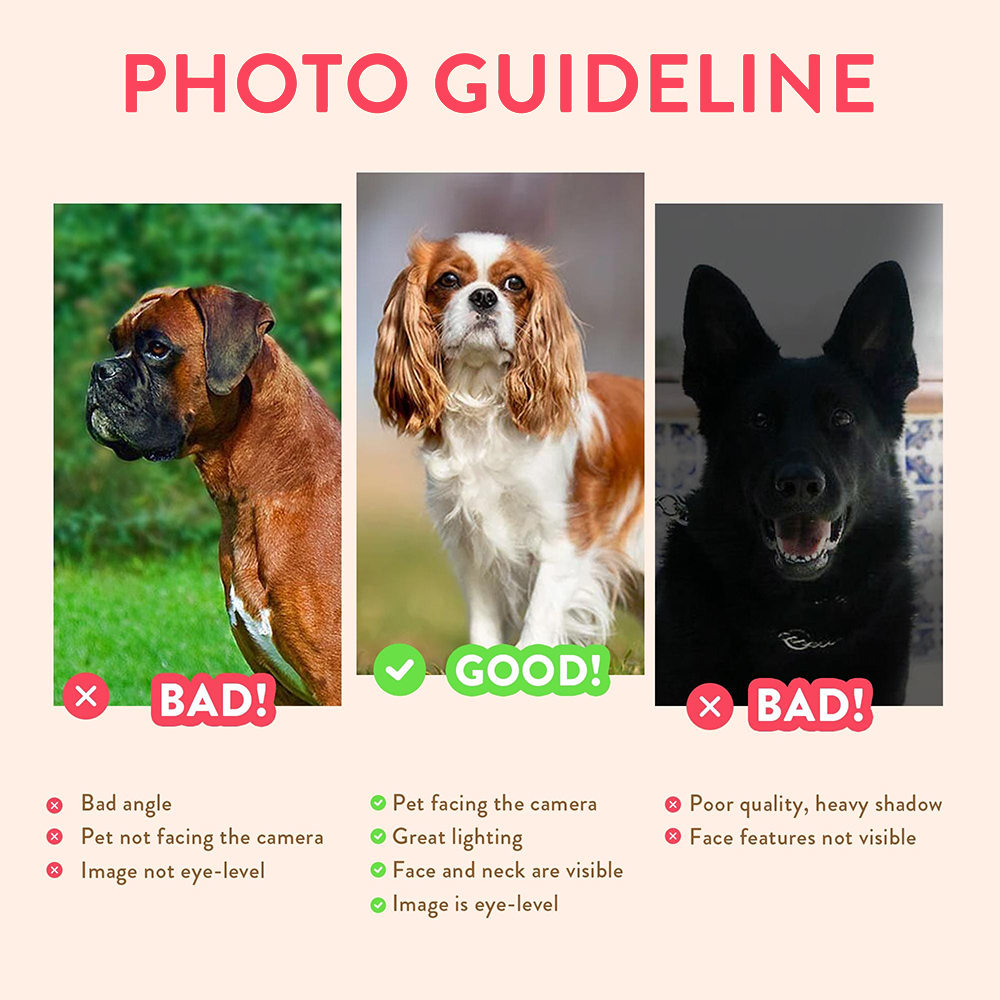 Personalized Pet Portraits Pho - Pet Portrait Custom 评论和价格