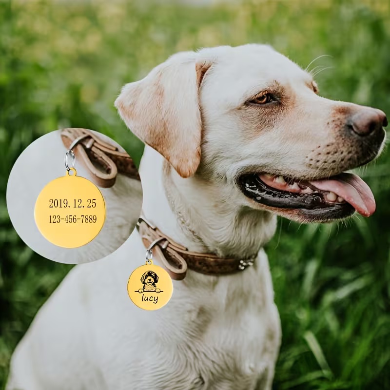 Custom Pet Name Puppy Anti-los - Pet Portrait Custom 评论和价格